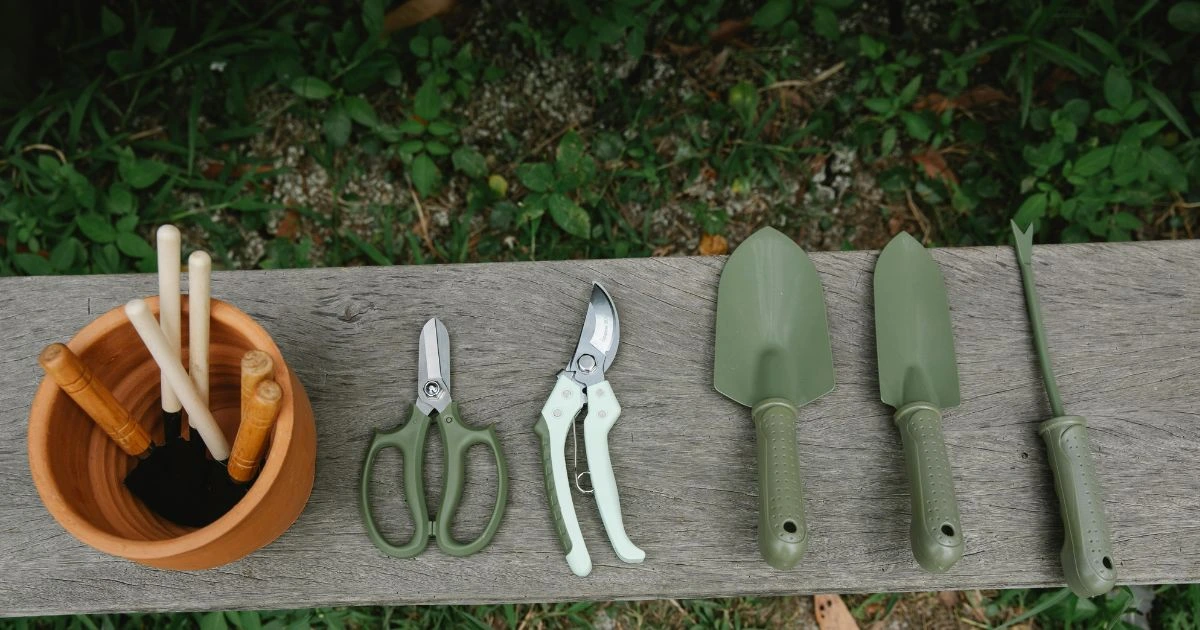 herb growing kit